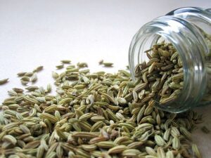 fennel-seeds